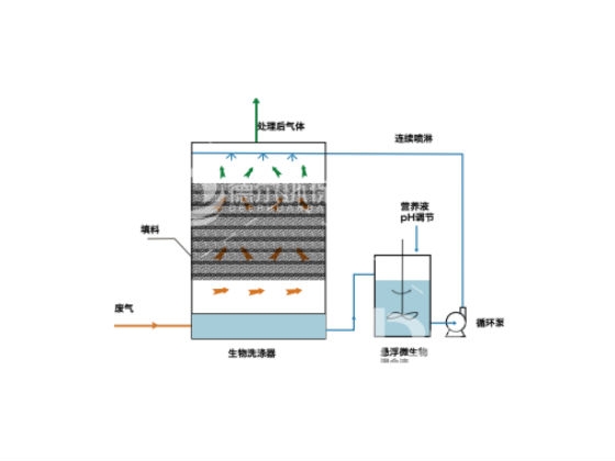 生物洗涤器