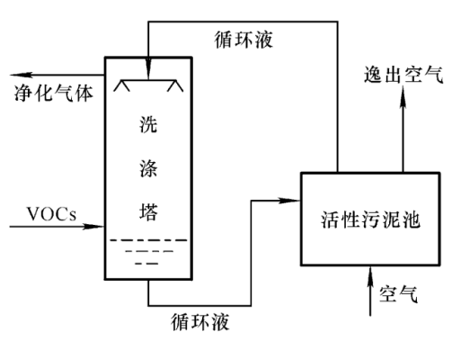 生物法.png